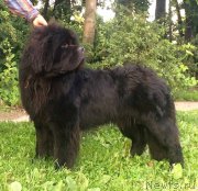 Превью фото № 212682