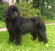 Превью фото № 212684