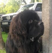 Превью фото № 212685