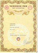 Превью фото № 212688