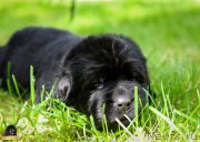 Превью фото № 212727