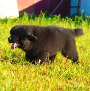 Превью фото № 212743