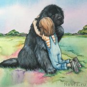 Превью фото № 212751