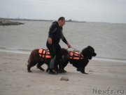 Превью фото № 212774