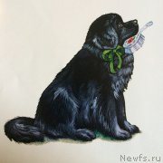 Превью фото № 212791