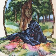 Превью фото № 212799