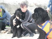 Превью фото № 212810