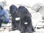 Превью фото № 212811