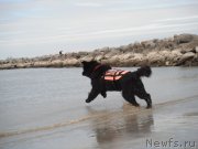 Превью фото № 212817