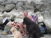 Превью фото № 212821