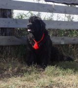 Превью фото № 212827