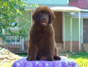 Превью фото № 212840