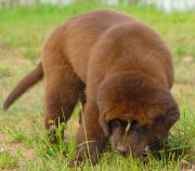 Превью фото № 212848