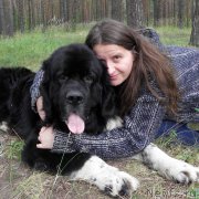 Превью фото № 212853