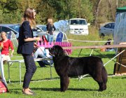 Превью фото № 212983