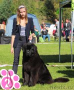 Превью фото № 212984