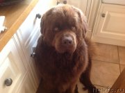 Превью фото № 212988