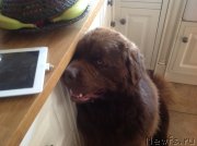 Превью фото № 212989