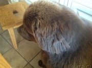 Превью фото № 212990