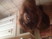 Превью фото № 212991