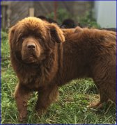 Превью фото № 213039