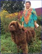 Превью фото № 213040