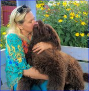 Превью фото № 213041