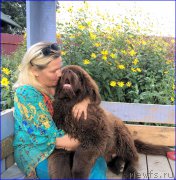 Превью фото № 213043