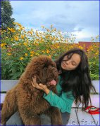 Превью фото № 213046