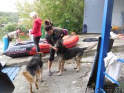 Превью фото № 213059