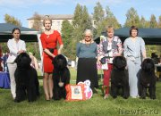 Превью фото № 213074