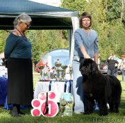 Превью фото № 213075