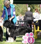 Превью фото № 213080