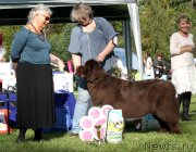 Превью фото № 213084