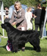 Превью фото № 213093