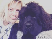 Превью фото № 213094