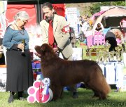 Превью фото № 213095