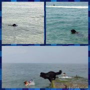 Превью фото № 213113