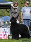 Превью фото № 213115