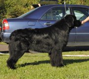 Превью фото № 213119