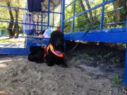 Превью фото № 213146