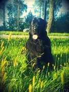 Превью фото № 213178