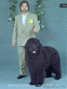 Превью фото № 213183