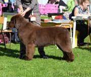 Превью фото № 213190