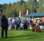 Превью фото № 213197