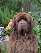 Превью фото № 213205