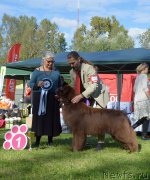Превью фото № 213209