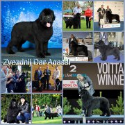 Превью фото № 213284