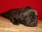 Превью фото № 213346