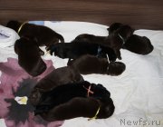 Превью фото № 213380